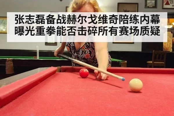 张志磊备战赫尔戈维奇陪练内幕曝光重拳能否击碎所有赛场质疑